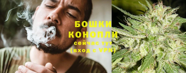 ПСИЛОЦИБИНОВЫЕ ГРИБЫ Арсеньев